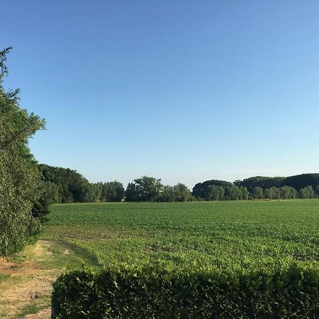 Gaestehaus Luessvitz Ummanz Buitenkant foto