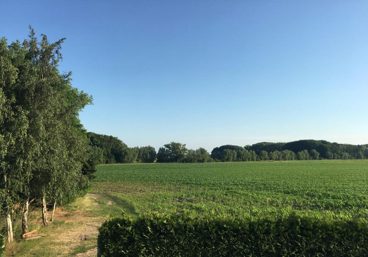 Gaestehaus Luessvitz Ummanz Buitenkant foto